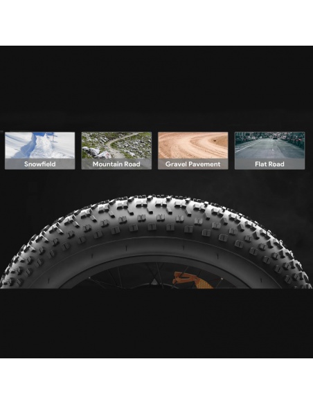 fatbike-electrique-velo-vae-look-fun-3.jpg