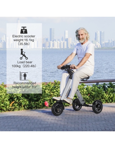 mate-4-trottinette-electrique-3-roues-pliable-16-kg-batterie-amovible-trottinette-electrique-tricycle-3-roues-pmr-ultra-legere-24.jpg