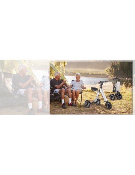 mate-4-trottinette-electrique-3-roues-pliable-16-kg-batterie-amovible-trottinette-electrique-tricycle-3-roues-pmr-ultra-legere-32.jpg