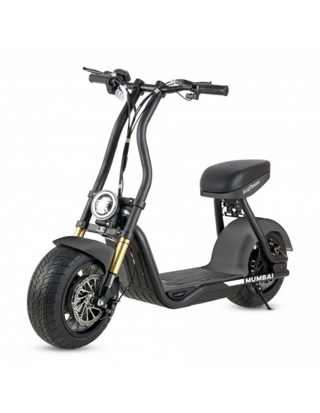 maverick-h10-scooter-electrique-1000w-48v-12ah-1.jpg