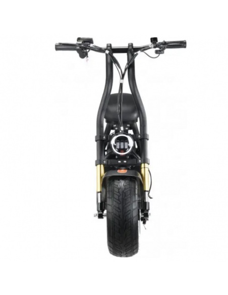 maverick-h10-scooter-electrique-1000w-48v-12ah-5.jpg