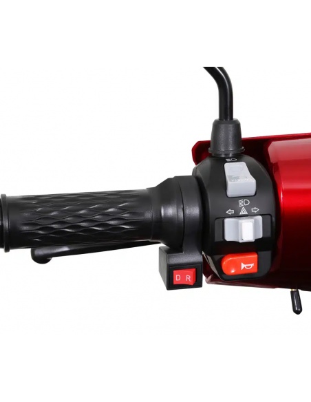 scooter-electrique-4-roues-2-places-pour-seniors-et-pmr-personnes-a-mobilite-reduite-pace2-en-1000-watts-homologuee-route-5.jpg