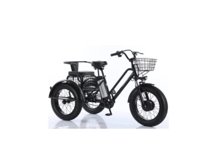 Tricycle fatbike cross 2 places pour personne à mobilité réduite 500 watts