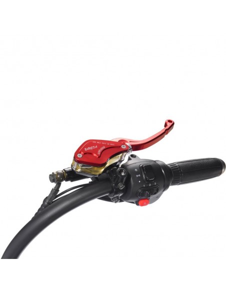 vert-diamant-chopper-scooter-city-coco-harley-3000-watts-homologuee-route-18.jpg